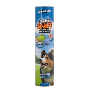 Chuck It! Sniff Fetch Bolas com Sabores para cães
